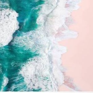 Meet your Posher, Kayden